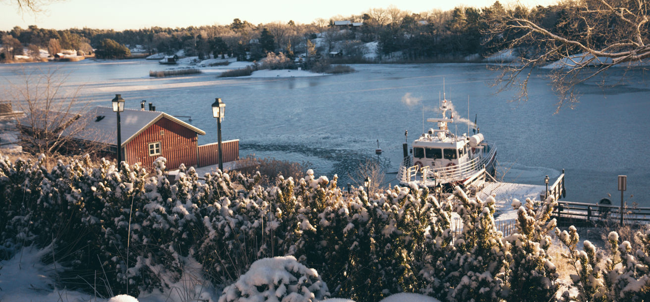 Hemviken på vintern