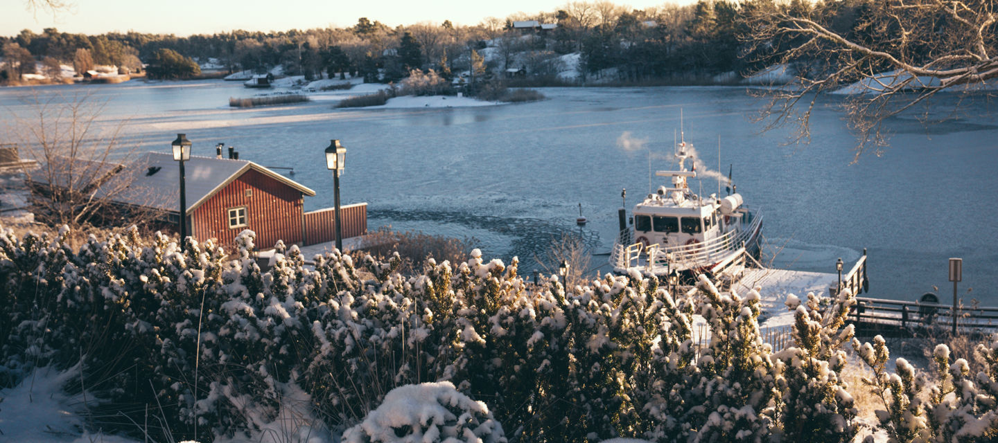 Hemviken på vintern