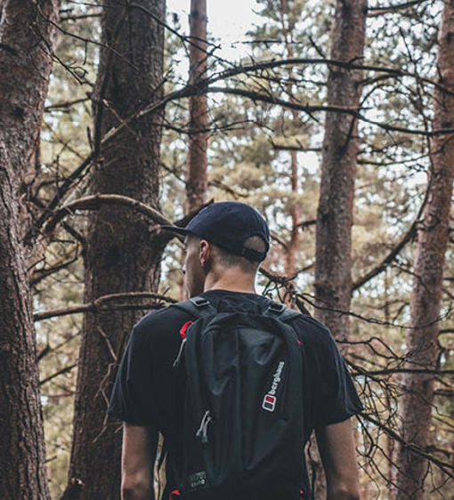 Vandring i skog och natur