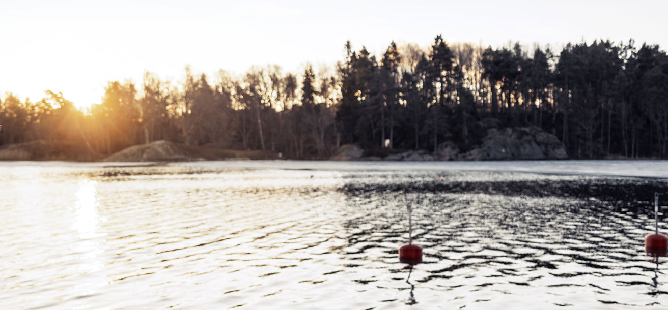 Hemviken på vintern med lite is