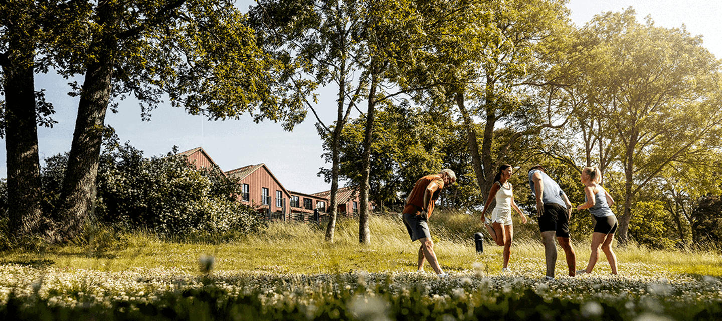 En grupp tränar utomhus på sommaren